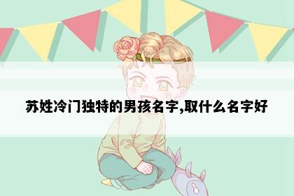 苏姓冷门独特的男孩名字,取什么名字好